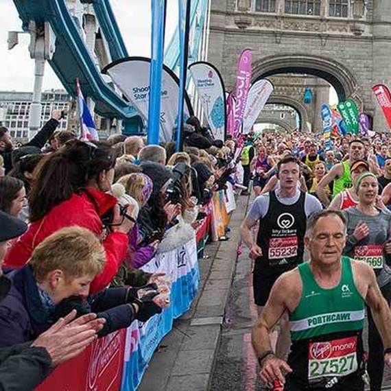 Amazing tiletcm31 81553